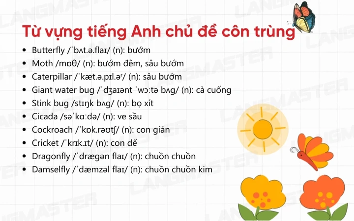 Tải Về Bộ 3000 Từ Vựng Tiếng Anh Có Hình Ảnh – Tập Chủ Đề Dành Cho Người Mới Bắt Đầu Tải Về Bộ 3000 Từ Vựng Tiếng Anh Có Hình Ảnh – Tập Chủ Đề Dành Cho Người Mới Bắt Đầu