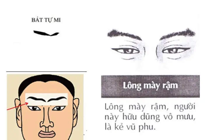 Nhận Diện 5 Tướng Mặt Của Kẻ Tiểu Nhân Theo Nhân Tướng Học Để Tránh Xa Người Gian Xảo Nhận Diện 5 Tướng Mặt Của Kẻ Tiểu Nhân Theo Nhân Tướng Học Để Tránh Xa Người Gian Xảo