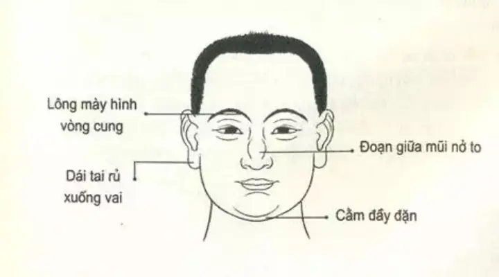 Khám Phá 9 Tướng Mạo Đàn Ông Giàu Có Phúc Đức Theo Nhân Tướng Học
