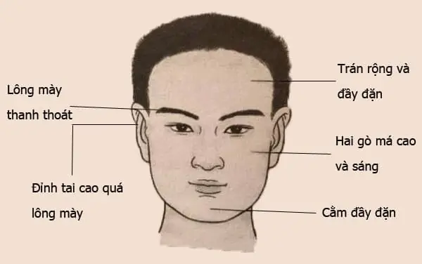Khám Phá 9 Tướng Mạo Đàn Ông Giàu Có Phúc Đức Theo Nhân Tướng Học