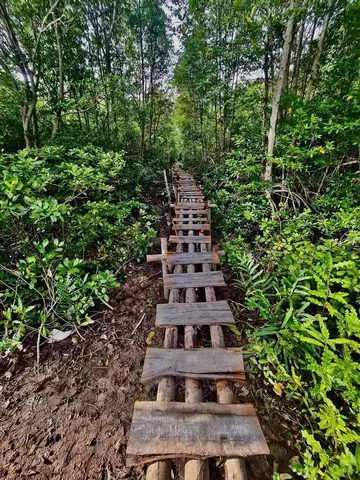 Khám Phá Ấp Đảo Thiềng Liềng Cần Giờ: Kinh Nghiệm Du Lịch Bình Yên Gần Sài Gòn