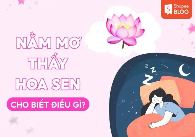 Bà Bầu Mơ Thấy Hoa Sen: Ý Nghĩa, Giải Thích Chi Tiết Và Lời Khuyên Thực Tế