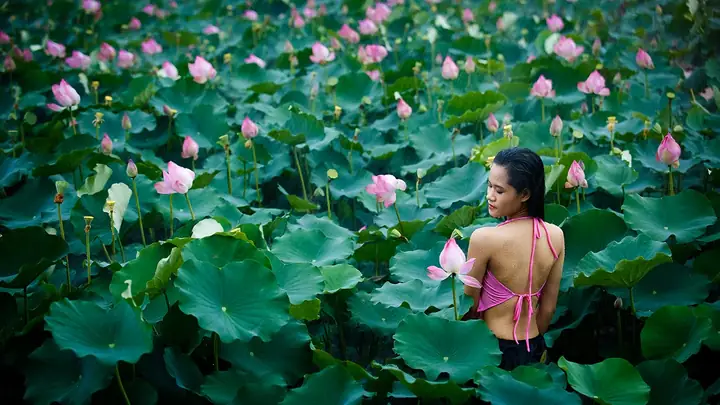 Bà Bầu Mơ Thấy Hoa Sen: Ý Nghĩa, Giải Thích Chi Tiết Và Lời Khuyên Thực Tế