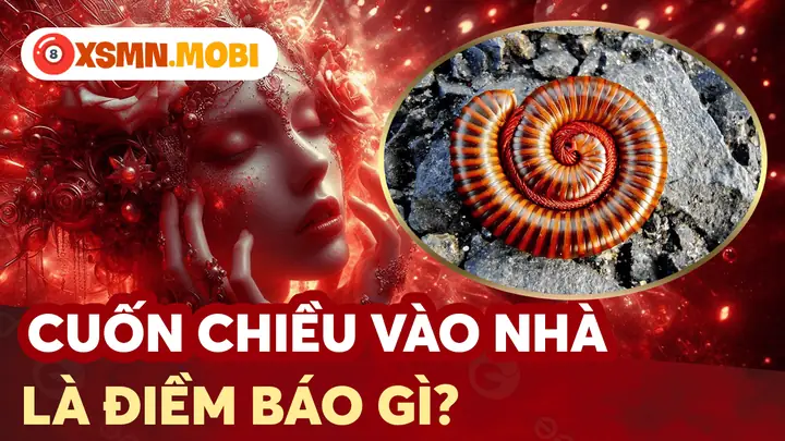 Giải Mã Ba Khía Bò Vào Nhà Là Điềm Gì: Tốt Hay Xấu Theo Phong Thủy Cho Gia Chủ Giải Mã Ba Khía Bò Vào Nhà Là Điềm Gì: Tốt Hay Xấu Theo Phong Thủy Cho Gia Chủ
