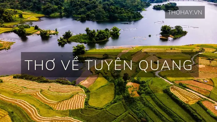 Khám Phá Tuyên Quang: Đặc Trưng Văn Hoá, Lịch Sử Và Những Điểm Du Lịch Hấp Dẫn Khám Phá Tuyên Quang: Đặc Trưng Văn Hoá, Lịch Sử Và Những Điểm Du Lịch Hấp Dẫn