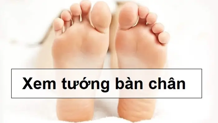 Khám Phá Ý Nghĩa Tướng Số Của Bàn Chân Phẳng: Số Phú Quý Hay Nguy Cơ Sức Khỏe? Khám Phá Ý Nghĩa Tướng Số Của Bàn Chân Phẳng: Số Phú Quý Hay Nguy Cơ Sức Khỏe?