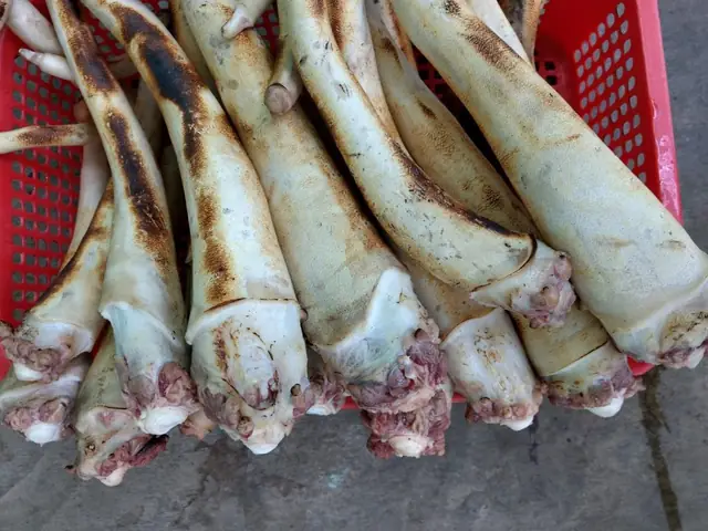 Đuôi Bò Tươi Ở Hà Nội: Nơi Mua, Giá Và Cách Chọn Đúng Cho Bữa Ăn Ngon Đuôi Bò Tươi Ở Hà Nội: Nơi Mua, Giá Và Cách Chọn Đúng Cho Bữa Ăn Ngon