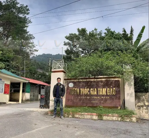 Tìm Hiểu Ban Quản Lý Vườn Quốc Gia Tam Đảo: Đơn Vị Sự Nghiệp, Cơ Quan Chủ Quản Và Thông Tin Liên Hệ