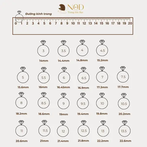 Bảng Cấp Độ Nhẫn Audition: Toàn Bộ Mức Độ, Nhiệm Vụ Và Cách Nâng Cấp Nhanh Chóng Bảng Cấp Độ Nhẫn Audition: Toàn Bộ Mức Độ, Nhiệm Vụ Và Cách Nâng Cấp Nhanh Chóng
