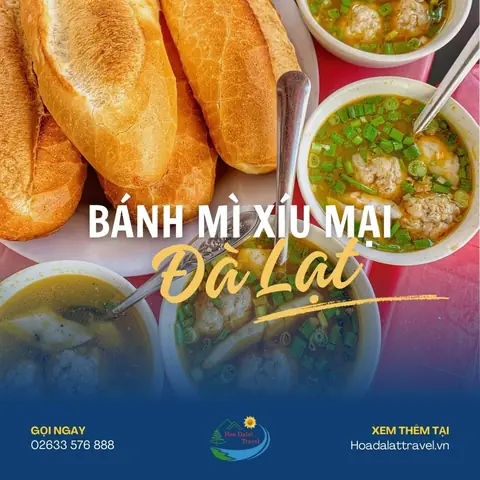 Tổng Hợp Các Quán Bánh Mì Xíu Mại Nổi Tiếng Ở Đà Lạt Cho Du Khách Sành Ăn