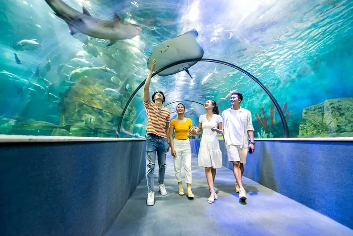 Cập Nhật Giờ Mở Cửa Và Lịch Đóng Cửa Bảo Tàng Dân Tộc Học Việt Nam Cho Du Khách Tham Quan
