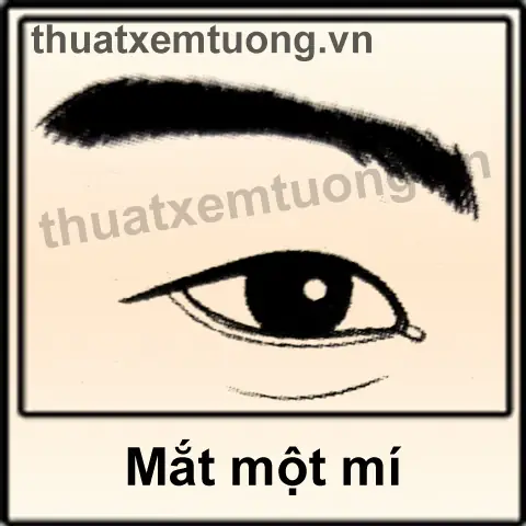 Giải Mã Tính Cách Và Vận Mệnh Đàn Ông Mắt Một Mí Theo Nhân Tướng Học Giải Mã Tính Cách Và Vận Mệnh Đàn Ông Mắt Một Mí Theo Nhân Tướng Học