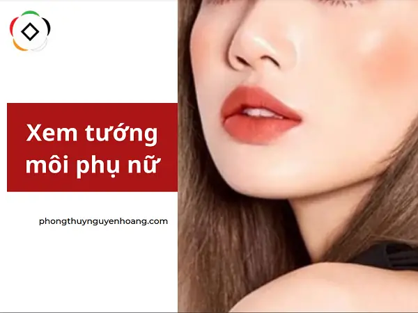 Xem Tướng Môi Phụ Nữ Đoán Tính Cách Và Vận Mệnh Theo Nhân Tướng Học Xem Tướng Môi Phụ Nữ Đoán Tính Cách Và Vận Mệnh Theo Nhân Tướng Học