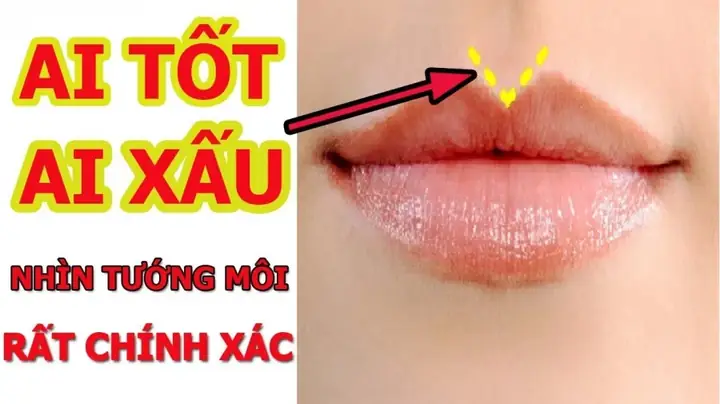 Xem Tướng Môi Phụ Nữ Đoán Tính Cách Và Vận Mệnh Theo Nhân Tướng Học Xem Tướng Môi Phụ Nữ Đoán Tính Cách Và Vận Mệnh Theo Nhân Tướng Học