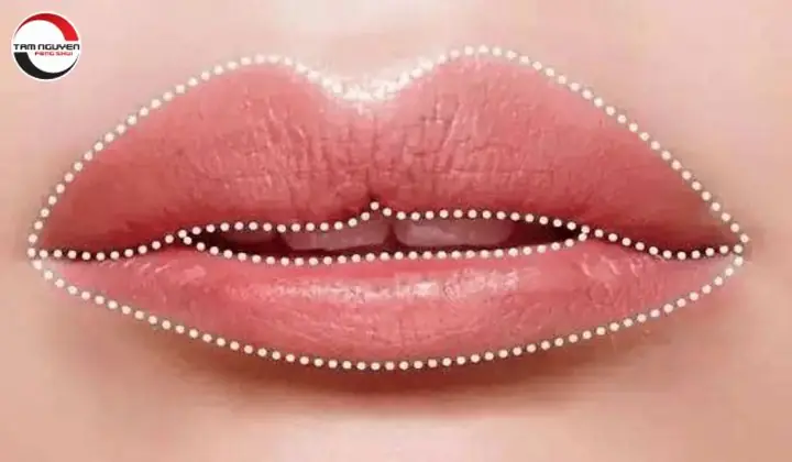 Xem Tướng Môi Phụ Nữ Đoán Tính Cách Và Vận Mệnh Theo Nhân Tướng Học Xem Tướng Môi Phụ Nữ Đoán Tính Cách Và Vận Mệnh Theo Nhân Tướng Học