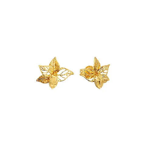 Bông Tai Cưới Vàng 18k: Mẫu Đẹp, Cách Chọn Và Giá Tham Khảo Cho Cô Dâu Bông Tai Cưới Vàng 18k: Mẫu Đẹp, Cách Chọn Và Giá Tham Khảo Cho Cô Dâu
