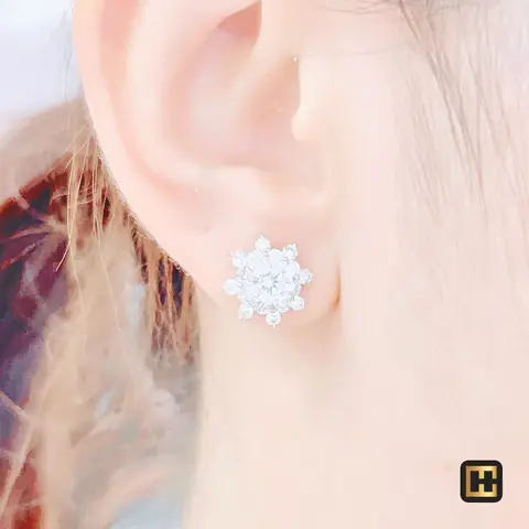 Bông Tai Kim Cương Precita: Mẫu Mới, Chất Liệu, Giá Và Cách Chọn Cho Người Yêu Thích Trang Sức Cao Cấp
