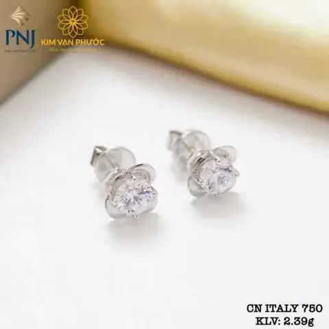 Mua Bông Tai Vàng Trắng Italy 18k: Giá, Mẫu Mã, Cách Chọn Và Nơi Mua Uy Tín