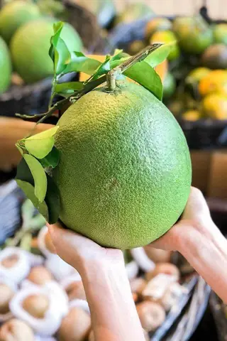 Bưởi Da Xanh Ngon Nhất Ở Đâu? Địa Chỉ Mua, Tiêu Chí Chọn Và Mẹo Bảo Quản