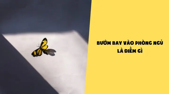 Giải Mã Bướm Bay Vào Phòng Ngủ Là Điềm Gì Và Ý Nghĩa Tâm Linh Theo Dân Gian Giải Mã Bướm Bay Vào Phòng Ngủ Là Điềm Gì Và Ý Nghĩa Tâm Linh Theo Dân Gian