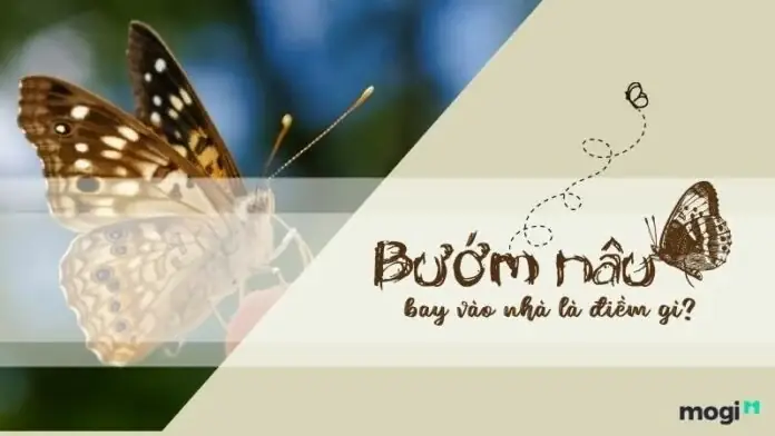 Giải Đáp Bướm Nâu Bay Vào Nhà Rồi Chết Là Điềm Gì: Ý Nghĩa Tâm Linh Và Dấu Hiệu Cần Lưu Ý Giải Đáp Bướm Nâu Bay Vào Nhà Rồi Chết Là Điềm Gì: Ý Nghĩa Tâm Linh Và Dấu Hiệu Cần Lưu Ý