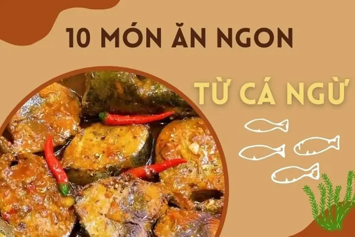 Gợi Ý 15 Món Ngon Từ Cá Ngừ Đại Dương Dễ Làm Tại Nhà Cho Người Nội Trợ Gợi Ý 15 Món Ngon Từ Cá Ngừ Đại Dương Dễ Làm Tại Nhà Cho Người Nội Trợ