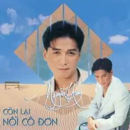 Lời Bài Hát Và Các Bản Thu Âm Nổi Bật Của Ca Khúc Vòng Tay Cầu Hôn Lời Bài Hát Và Các Bản Thu Âm Nổi Bật Của Ca Khúc Vòng Tay Cầu Hôn