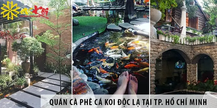 Tổng Hợp Quán Cà Phê Cá Koi Quận Tân Phú: Địa Chỉ, Giờ Mở Cửa Và Không Gian Chill Tổng Hợp Quán Cà Phê Cá Koi Quận Tân Phú: Địa Chỉ, Giờ Mở Cửa Và Không Gian Chill