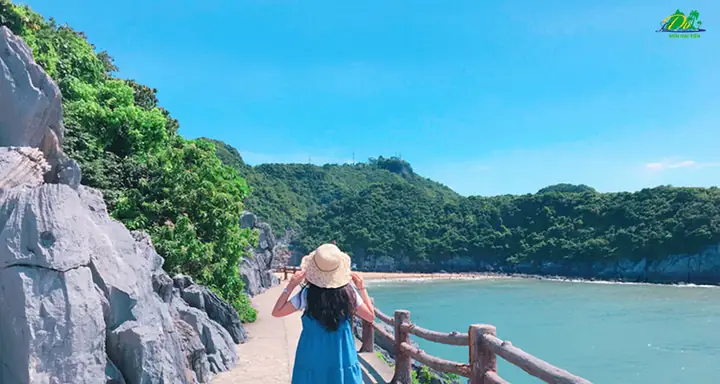 Tổng Hợp Các Bãi Biển Đẹp Miền Bắc Cho Chuyến Đi Hè Từ Hà Nội