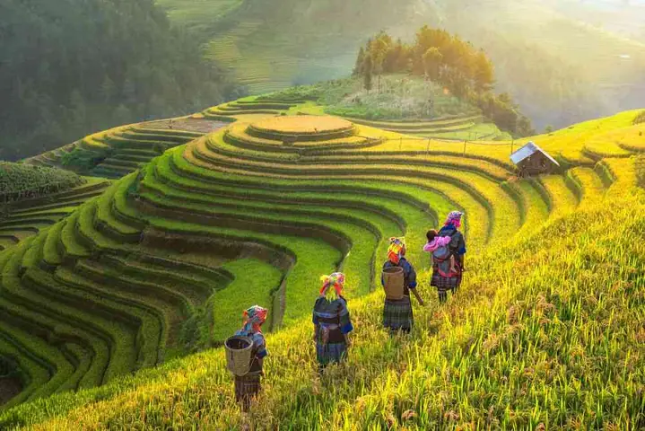 Tổng Hợp Các Địa Điểm Tham Quan Tại Sapa Cho Chuyến Đi Phượt Và Nghỉ Dưỡng