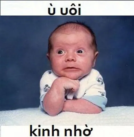 Tổng Hợp Kho Ảnh Giải Trí Tải Miễn Phí Các Hình Ảnh Hài Dành Cho Gen Z Gồm Meme, Ảnh Chế Và Ảnh Cute