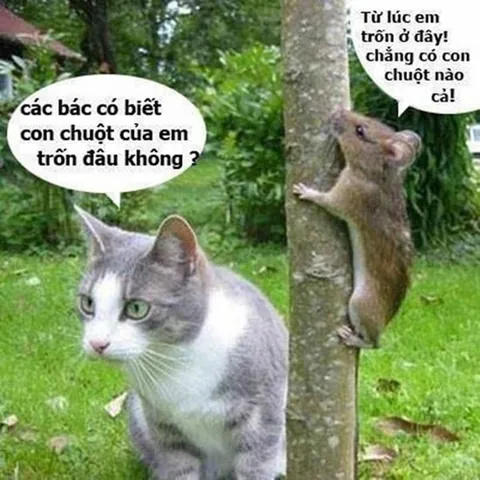 Tổng Hợp Kho Ảnh Giải Trí Tải Miễn Phí Các Hình Ảnh Hài Dành Cho Gen Z Gồm Meme, Ảnh Chế Và Ảnh Cute