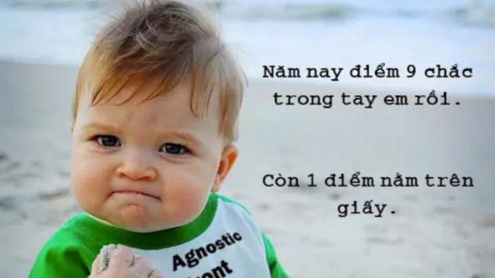 Tổng Hợp Kho Ảnh Giải Trí Tải Miễn Phí Các Hình Ảnh Hài Dành Cho Gen Z Gồm Meme, Ảnh Chế Và Ảnh Cute