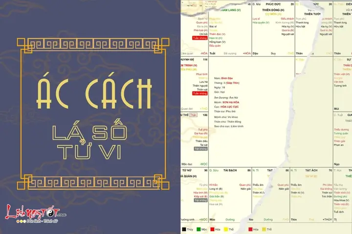 Phân Loại Các Loại Tính Cách Trong Tử Vi Tướng Số Qua Cách Cục Và Sao Chính Tinh