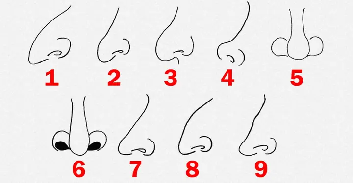 Các Loại Tướng Mũi Trong Nhân Tướng Học: Phân Loại Chi Tiết, Ý Nghĩa Vận Mệnh Và Tính Cách