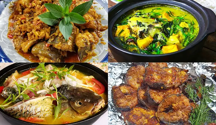 Món Ăn Ngon Từ Cá Chình Biển Bạn Phải Thử Ngay