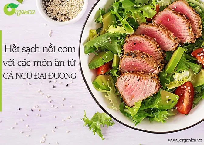 Gợi Ý Các Món Ngon Từ Cá Ngừ Đại Dương Dễ Làm Tại Nhà