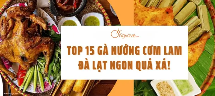 Tổng Hợp Các Quán Gà Nướng Cơm Lam Ngon Ở Đà Lạt – Địa Chỉ Đáng Thử Cho Du Khách Và Gia Đình Tổng Hợp Các Quán Gà Nướng Cơm Lam Ngon Ở Đà Lạt – Địa Chỉ Đáng Thử Cho Du Khách Và Gia Đình