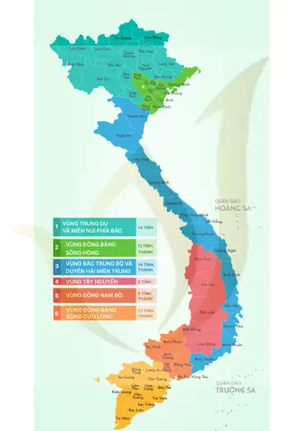 Tìm Hiểu Các Tỉnh Ở Vùng Tây Nguyên: Danh Sách 5 Tỉnh Và Cập Nhật Sau Sáp Nhập
