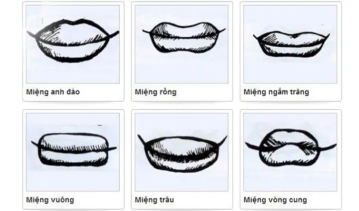 Tổng Hợp Các Tướng Miệng Phổ Biến Và Ý Nghĩa Trong Nhân Tướng Học: Nhận Diện Tính Cách, Vận Mệnh Tổng Hợp Các Tướng Miệng Phổ Biến Và Ý Nghĩa Trong Nhân Tướng Học: Nhận Diện Tính Cách, Vận Mệnh