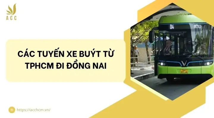Cập Nhật Các Tuyến Xe Buýt Từ Tphcm Đi Đồng Nai: Lộ Trình, Giờ Chạy Và Giá Vé Mới Nhất