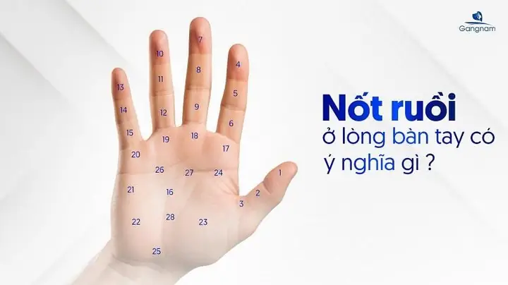 Giải Mã Các Vị Trí Nốt Ruồi Trong Lòng Bàn Tay Theo Nhân Tướng Học Cho Nam Và Nữ
