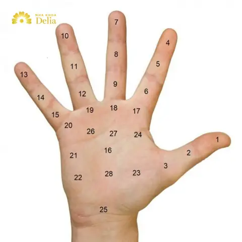 Giải Mã Các Vị Trí Nốt Ruồi Trong Lòng Bàn Tay Theo Nhân Tướng Học Cho Nam Và Nữ