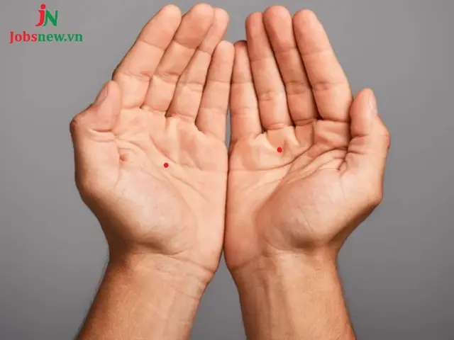 Giải Mã Các Vị Trí Nốt Ruồi Trong Lòng Bàn Tay Theo Nhân Tướng Học Cho Nam Và Nữ