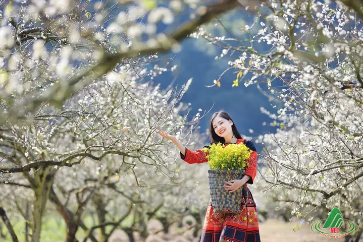 Cách Chụp Ảnh Đẹp Ở Mộc Châu: Bí Quyết, Địa Điểm Và Mẹo Tạo Dáng Cho Người Mới Bắt Đầu