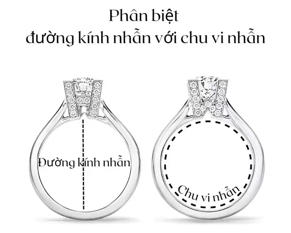 Cách Đo Đường Kính Nhẫn Chuẩn Tại Nhà: Hướng Dẫn Chi Tiết Cho Mọi Kích Cỡ