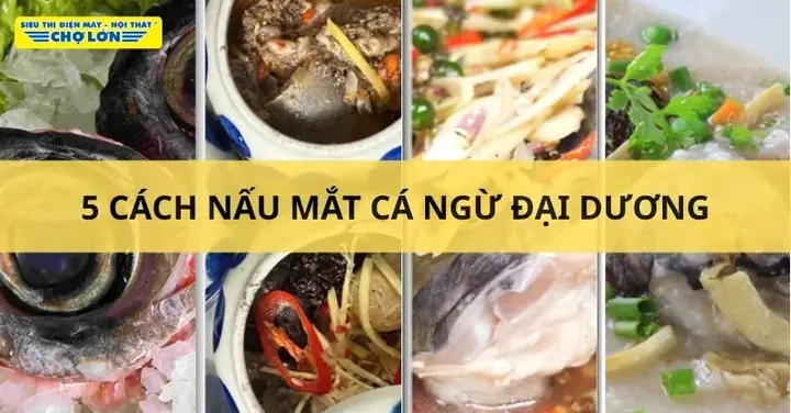 Cách Hấp Mắt Cá Ngừ Đại Dương Và Các Món Chưng Thuốc Bắc, Tiêu Xanh Đậm Vị Cách Hấp Mắt Cá Ngừ Đại Dương Và Các Món Chưng Thuốc Bắc, Tiêu Xanh Đậm Vị