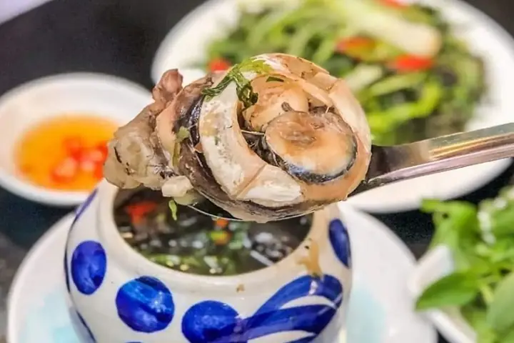 Cách Hấp Mắt Cá Ngừ Đại Dương Và Các Món Chưng Thuốc Bắc, Tiêu Xanh Đậm Vị Cách Hấp Mắt Cá Ngừ Đại Dương Và Các Món Chưng Thuốc Bắc, Tiêu Xanh Đậm Vị