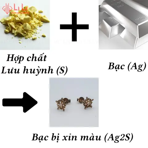 Cách Làm Trắng Nhẫn Bạc Tại Nhà Bằng Nguyên Liệu Đơn Giản Cho Người Mới Bắt Đầu Cách Làm Trắng Nhẫn Bạc Tại Nhà Bằng Nguyên Liệu Đơn Giản Cho Người Mới Bắt Đầu
