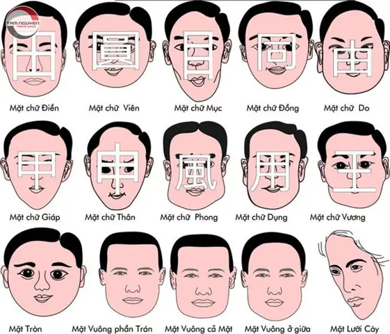 Cách Nhận Biết Người Tốt Xấu Qua Tướng Mắt Theo Nhân Tướng Học